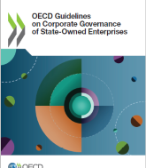 OECD Guidelines on Corporate Governance of State-Owned Enterprises