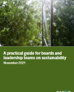 A Practical Guide for Boards and Leadership Teams on Sustainability