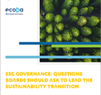 ESG Governance: Questions Boards Should Ask to Lead the Sustainability Transition